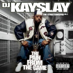 The Streetsweeper Vol. 2: The Pain From The Game