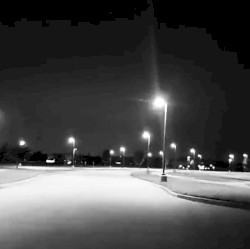 Snow Vol.1