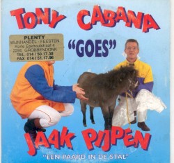 Een paard in de stal