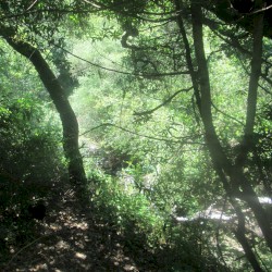 Hayward (Father's Day, 2019)