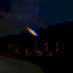 emptiness feedback 2018/9