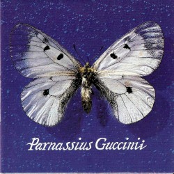 Parnassius Guccinii