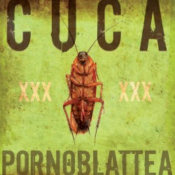Pornoblattea