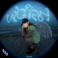 VICEROY…LIKE THE BUTTERFLY