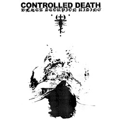 Black Scorpion Rising