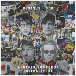 Another Somebody (ddp remix)