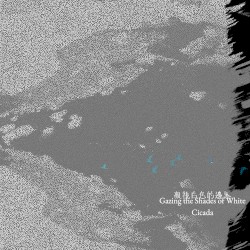 凝視白色的邊界 Gazing the Shades of White
