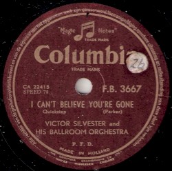 I Can't Believe You're Gone / Glow Worm