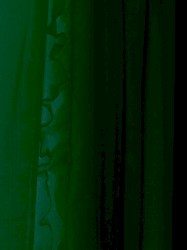 Amant alterna Camenae