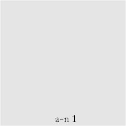 A N 1
