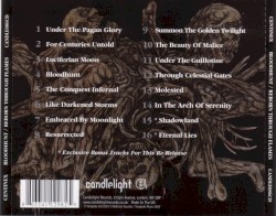 Bloodhunt / Reborn Through Flames