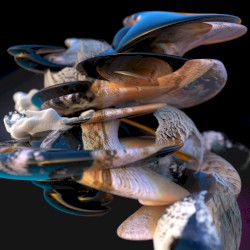 A Million Pieces of You