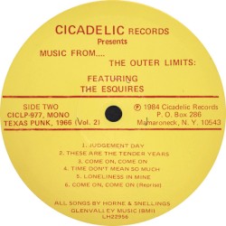 Texas Punk, 1966: Vol. 2 Music From... The Outer Limits!
