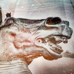 Étranger à la Terre