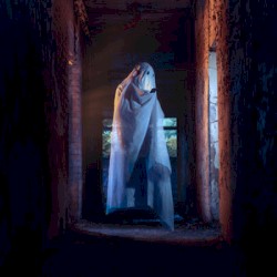 Last Night I Read Your Diary