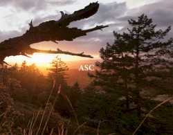 The Light That Burns Twice As Bright