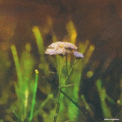 Притяжение