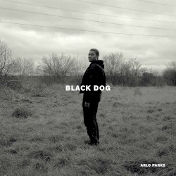 Black Dog