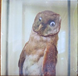 Certain Secret Chambers of Thought