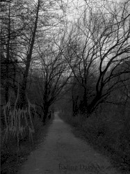 Fading Days Away…