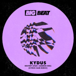Destiny (Kydus 5am remix)