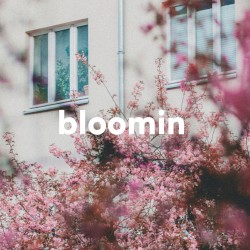 Bloomin’