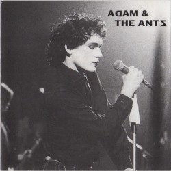 Antmusic for Sexpeople