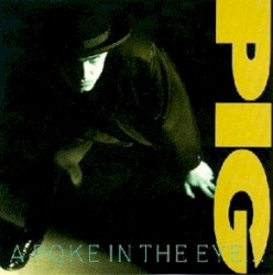 A Poke in the Eye… With a Sharp Stick