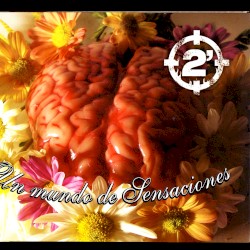 Un mundo de sensaciones