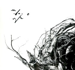 Vîrstele pămîntului