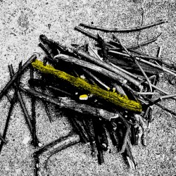 Notes Against the Current