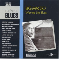 Worried Life Blues
