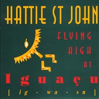 Flying High at Iguacu