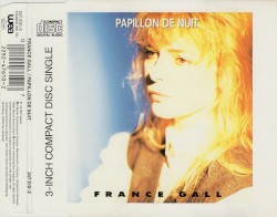 Papillon de nuit