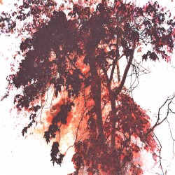 Kiss in October (2017)