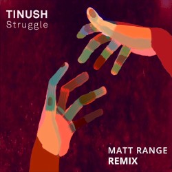 Struggle (Matt Range remix)