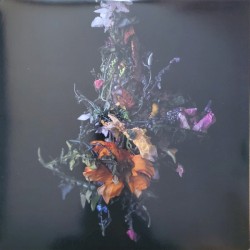 nature morte
