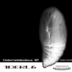 Holometabolous EP