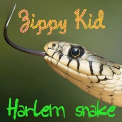 Harlem Snake
