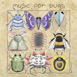 music for bugs