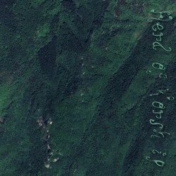 Spore 7, the Seventh: 40°06'43.9"N 122°28'09.2"E