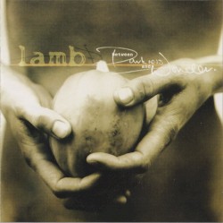 Between Darkness and Wonder