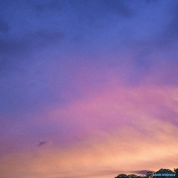 I Want to Hug a Warm Tree