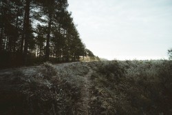 Still on This Journey