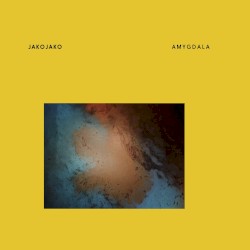 Amygdala