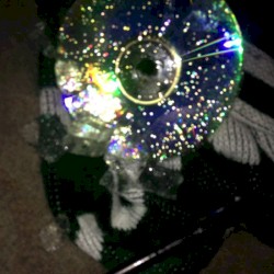 Agumon/Vagrancy split