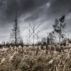 De doden hebben het goed