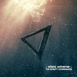 The Infinity Coordinates