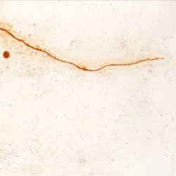 Wings of Lead Over Dormant Seas