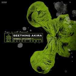 Internal Antagonist (Kaixo Remix)